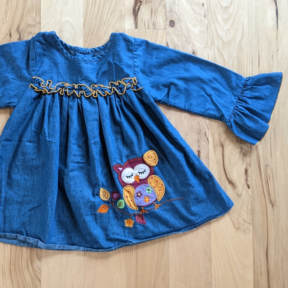Good Lad Lightweight Blue Denim Owl 🦉 Dress 3T with Ruffled Sleeve and Waist 💙